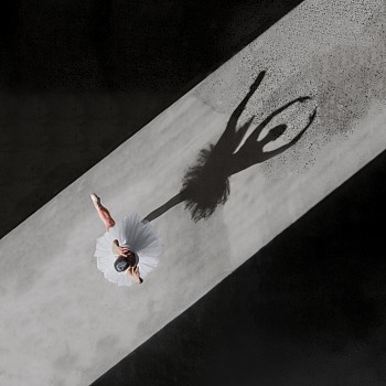 Brad Walls - Ombre Deux, 2020